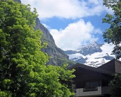 Apartamento Pfaffenstoeckli Grindelwald Habitación foto