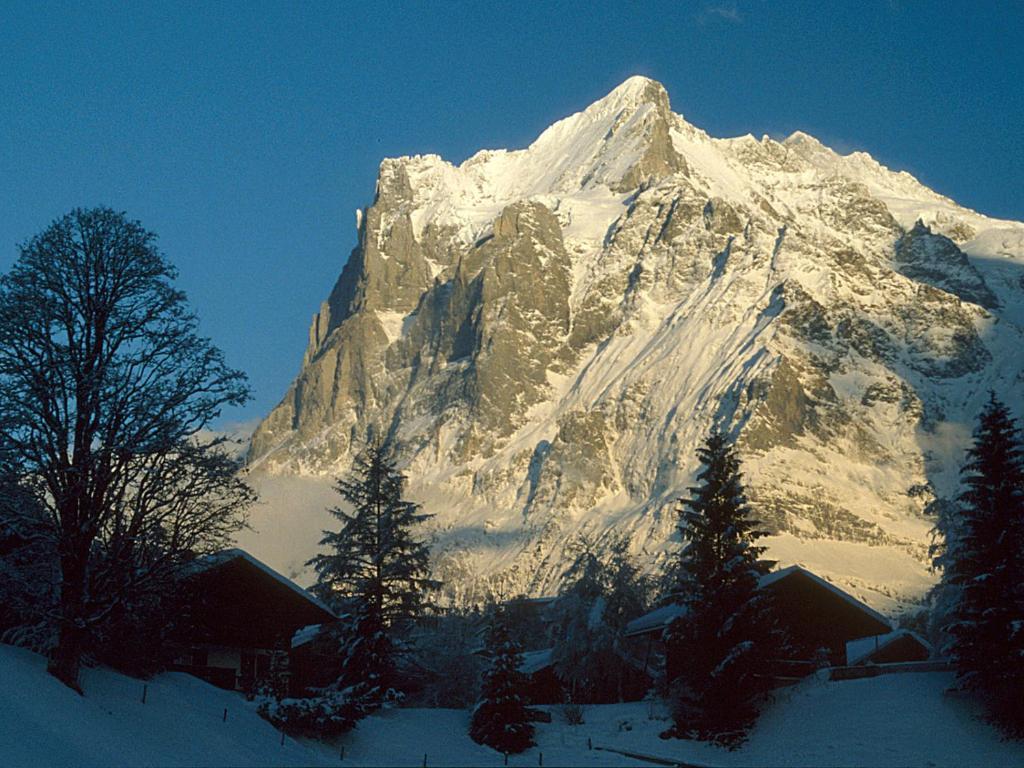 Apartamento Pfaffenstoeckli Grindelwald Exterior foto